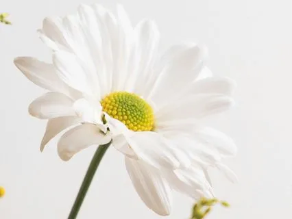 A List Of Beautiful Things For When You Forget | No Music