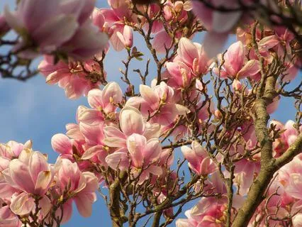 A List Of Beautiful Things For When You Forget (With Music)