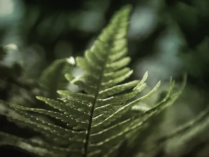 A Little Hope - Morning Meditation