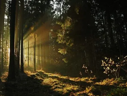 A Longer Exhale For A Steadier Nervous System