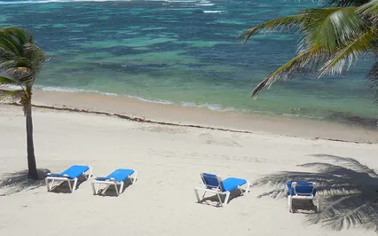 A Lot About No-Mind From The Beginning To The Infinite 