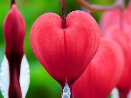 A Lot Of Love Coming To You