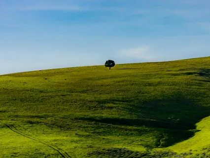 A Love Journey Healing Visualization