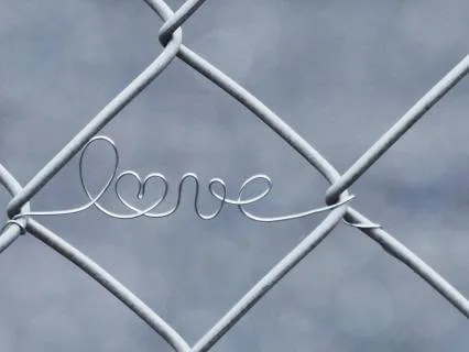 A Love Letter- From You