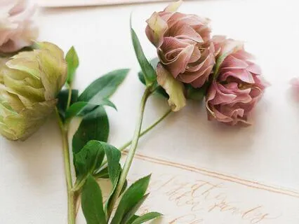 A Love Letter To Grief