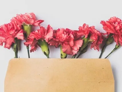 A Love Letter To Shame