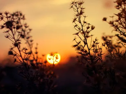 A Lovely Day | Short Morning Ritual