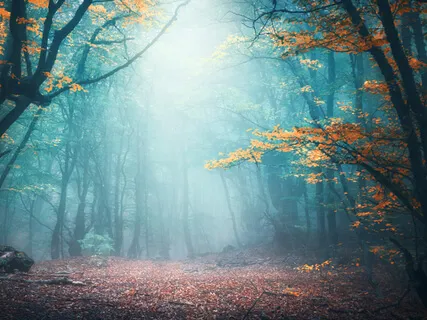 A Loving-Kindness Practice For Loved Ones In Isolation