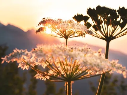 A Loving Reminder To Yourself Meditation 