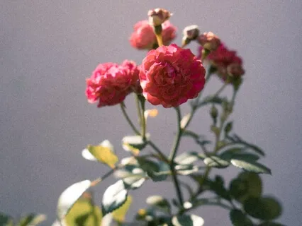 A Magical 5 Minutes Of Mindfulness