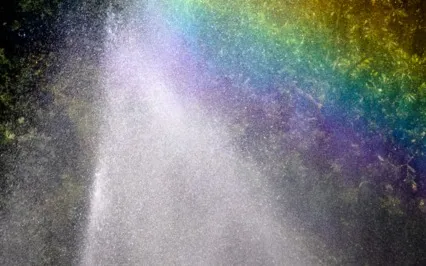 A Magical Forest Fountain Morning Meditation