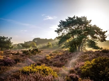 A Magical Moment: A Momentary Expansive Exercise In Creativity