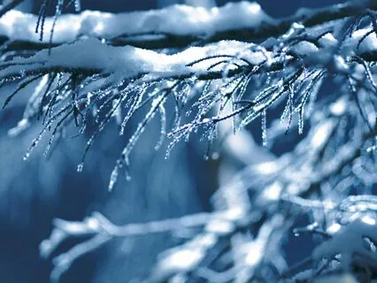 A Magical Snowy City