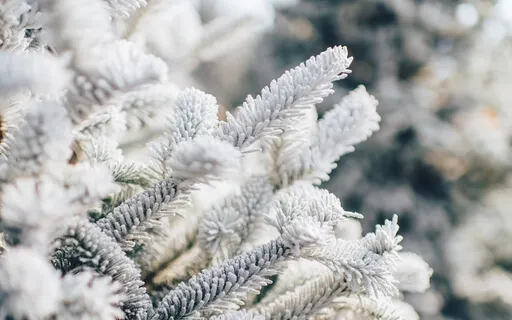 A Magical White Christmas