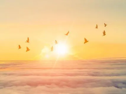 A Manifestation & Miracle Activation