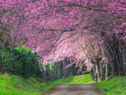 A Mantra Practice To Invite Love In