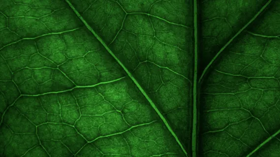 A Mantra To Calm The Mind  - 10 Minute Daily Insight