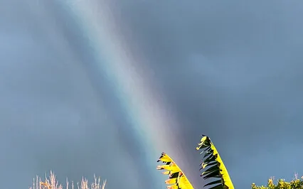 A Master Class In Inspirational Music & More