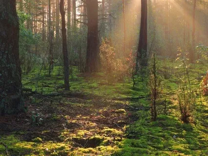 A Mediation From How To Feel Right Now