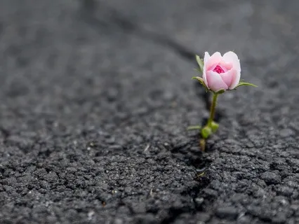 A Mediation On If We Can Turn Resilience Into Love?