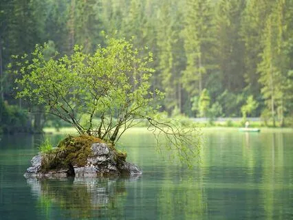 A Meditation : A Nourishing Ingredient For Serenity