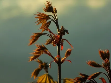 A Meditation: End Of Day Reset