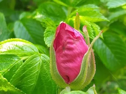 A Meditation For A Busy Mind