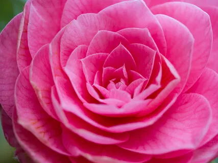 A Meditation For Acceptance And Trust