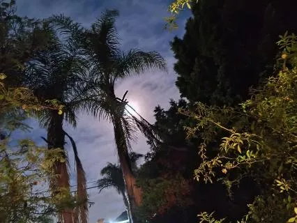 A Meditation For Anger