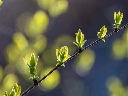 A Meditation For April: Reset And Begin Again