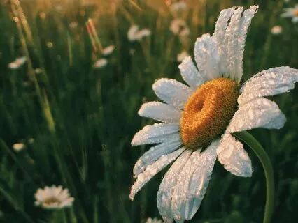 A Meditation For Calm And Positivity In The Morning