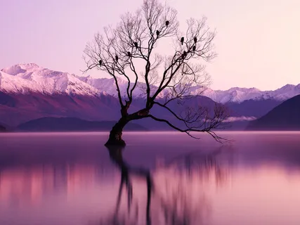 Blissful Visualisation To Calm The Body & Mind