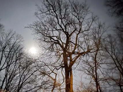 A Meditation For Children