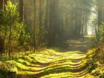 A Meditation For Coming Home