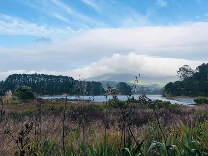 A Meditation For Curiosity, Openness, Acceptance And Love