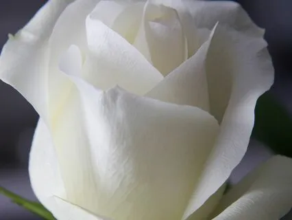 A Meditation For Dealing With Disappointment