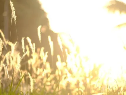 A Meditation For Energetic Protection