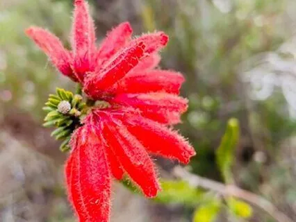 A Meditation For Fear, Anxiety And Stress