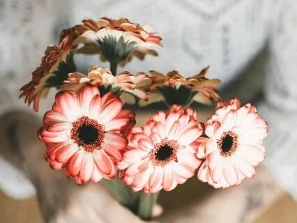 A Meditation For Fear Of Failure