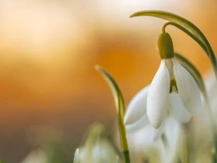 A Meditation For February: Finding Hope And Light