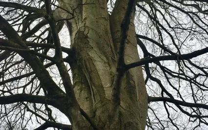 A Meditation For Finding Peace In Difficult Circumstances