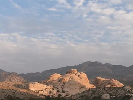 A Meditation For Gratitude