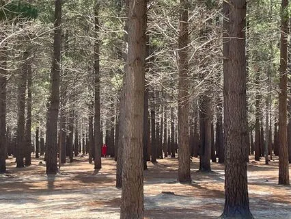 A Meditation For Grief And The Holidays