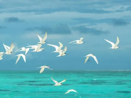 A Meditation For Grief