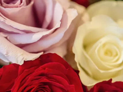 A Meditation For Heart-Centred Living