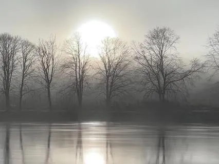 A Meditation For January: Softening Into Stillness