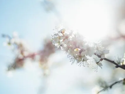 A Meditation For March: Letting Go And Making Space