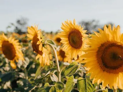 A Meditation For Mindful Decision-Making