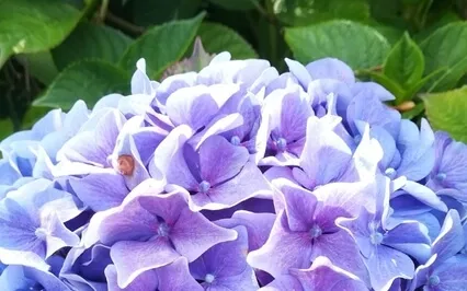 A Meditation For Motivation, Change And Embracing Life