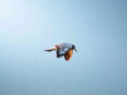 A Meditation For Overthinking, Inner Peace & Letting Go